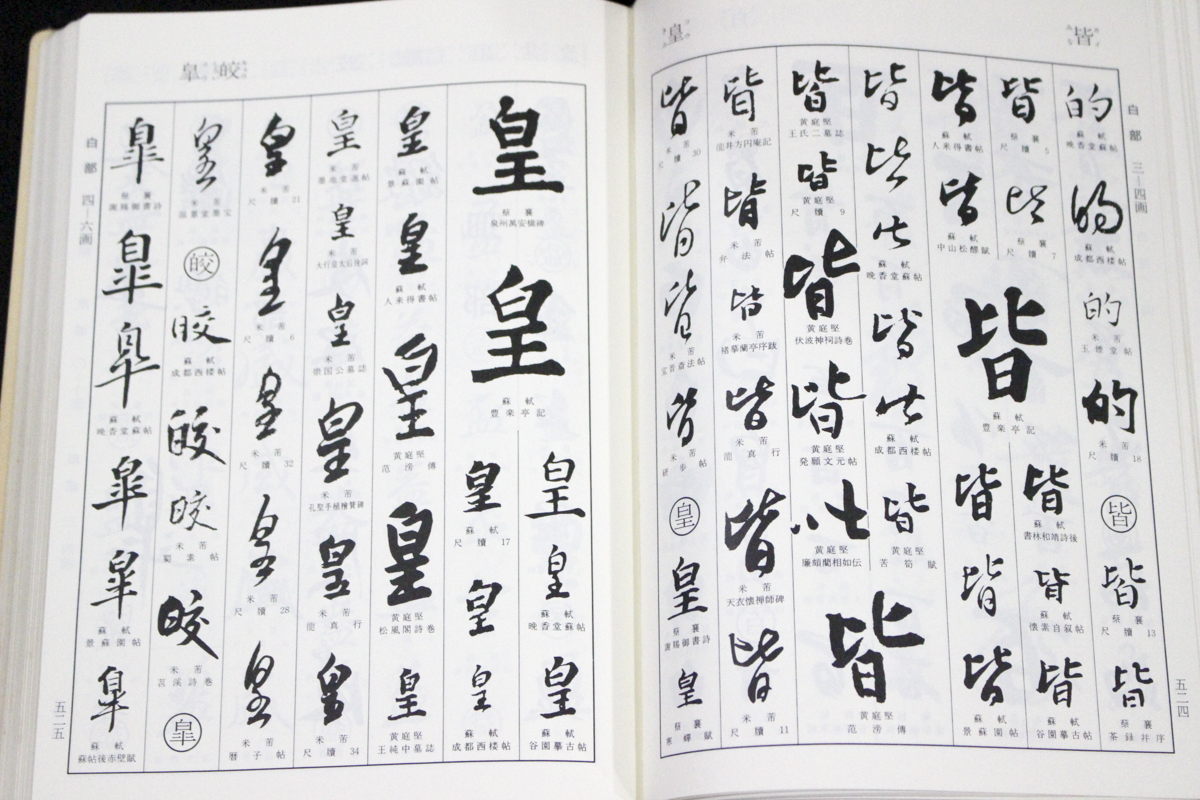 書道 宋四家字典 書道字典 五體字類 五体字類 二玄社 2001年 東南光 - 書